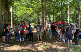 Eine Gruppe von ca. 20 Menschen stehen im Wald und schauen sich gemeinsam etwas an. Sie sind von hinten zu sehen.